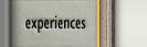 d_experience.JPG (3468 bytes)