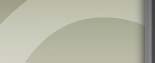 tr_spacer.JPG (2236 bytes)